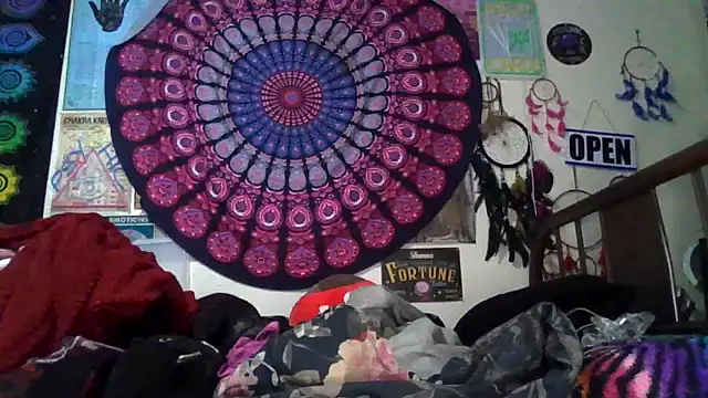 GardeniaFields online show from 02-24-26, 08:59