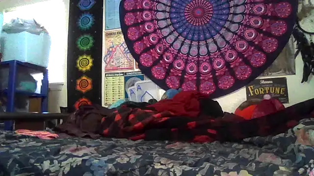 GardeniaFields online show from 02-22-26, 08:43