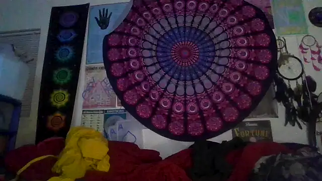 GardeniaFields online show from 02-05-26, 08:10