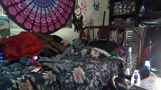 GardeniaFields online show from 12-17-25, 04:50