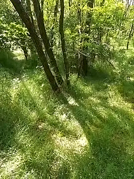 sile47 online show from 05-24-26, 12:16