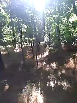 sile47 online show from 06-14-26, 01:01