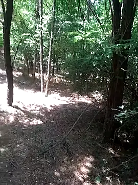 sile47 online show from 07-16-26, 10:56