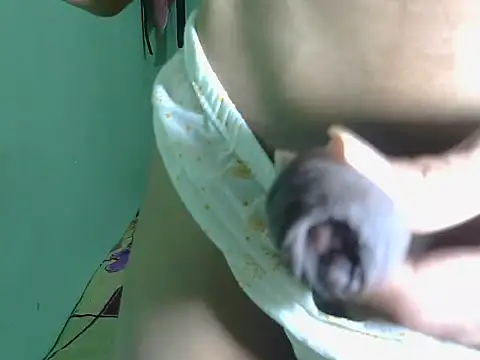 SIHUMISEXY online show from 03-08-26, 06:22