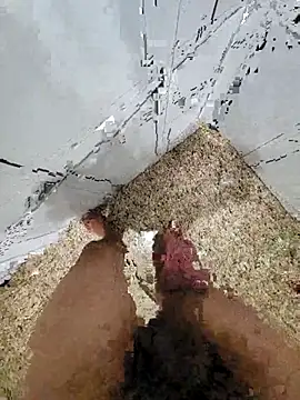 Snapshot of Pauloosil chatting on 03-12-25, 01:51 Pauloosil online show from 03-12-25, 01:51