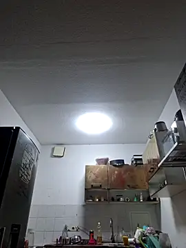 ThePython666 online show from 11-08-25, 06:44