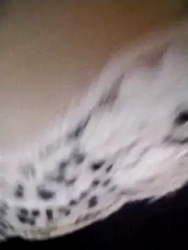 az9ovsqjqhva online show from 11-08-25, 11:52