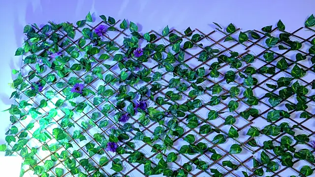 alice rous21 online show from 10-07-25, 01:34