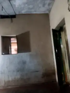 PolarFriend0 online show from 02-17-26, 12:57