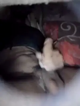 Ayush pussy fucker online show from 03-05-26, 05:20