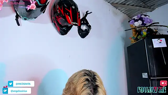 adam angelssss online show from 11-19-25, 08:53