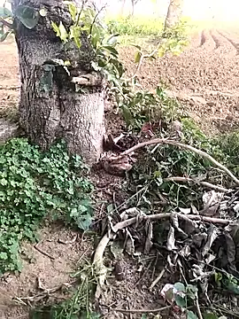 JAZZYS8 online show from 10-16-25, 11:40