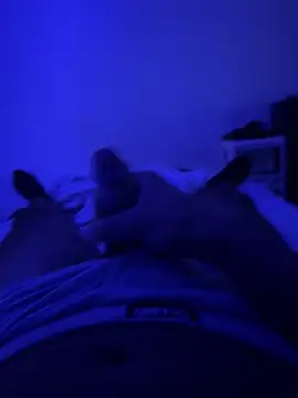 MoroccanDickkkkkk online show from 10-08-25, 12:50