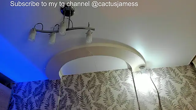 Snapshot of Cactus__James chatting on 06-28-26, 10:21 Cactus James online show from 06-28-26, 10:21