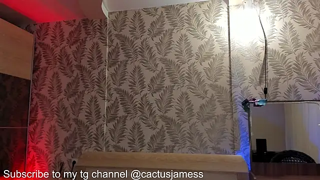 Snapshot of Cactus__James chatting on 10-03-25, 09:16 Cactus James online show from 10-03-25, 09:16