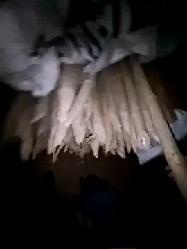 hot integer online show from 03-07-26, 01:49