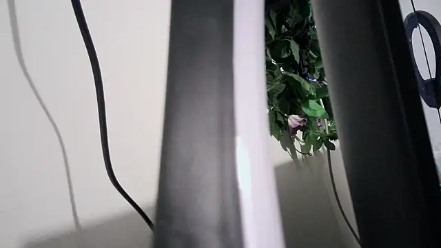 cherryboom23 online show from 03-19-26, 07:25