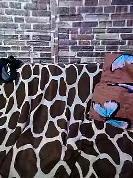 Casadaculona30 online show from 03-03-26, 02:40