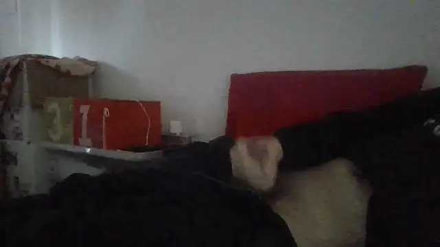 Snapshot of tristan_12273 chatting on 11-07-25, 11:59 tristan 12273 online show from 11-07-25, 11:59