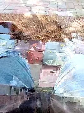 A-1PLAYBOY0 online show from 03-06-26, 09:37