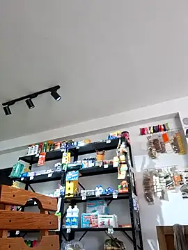 elnegro707070 online show from 02-01-26, 06:06