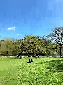 NoLimit365 online show from 04-23-26, 11:38