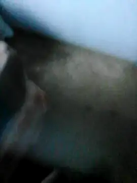 mydickbedarkandthick online show from 11-21-25, 03:11