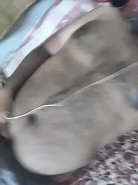 sharmanaam online show from 03-28-26, 08:32