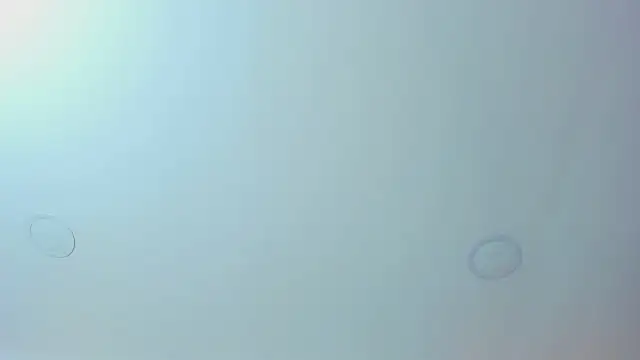 Antonella west online show from 03-12-26, 09:08