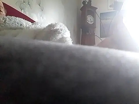 Vince072 online show from 02-11-26, 08:14