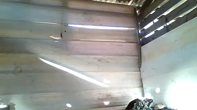 srtsara online show from 04-15-26, 10:54