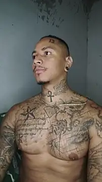 David tatto1 online show from 03-03-26, 03:35