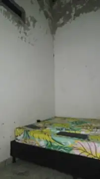 David tatto1 online show from 04-02-26, 03:13