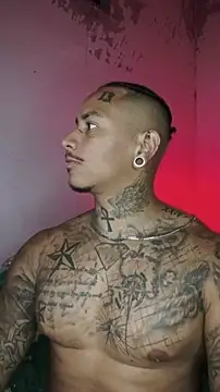 David tatto1 online show from 02-13-26, 03:17