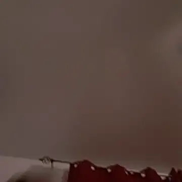 David1982qq online show from 03-03-26, 09:16