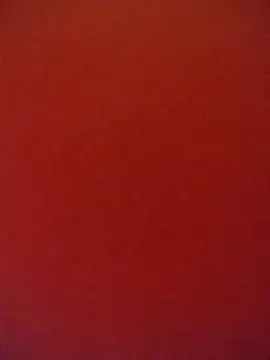 Fox Roxxan online show from 10-12-25, 01:51