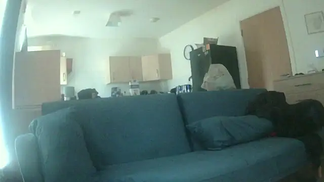 Snapshot of avamaxwell chatting on 05-21-26, 11:29 avamaxwell online show from 05-21-26, 11:29
