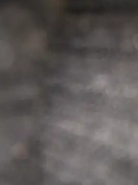 clarabell4 online show from 02-24-26, 08:59