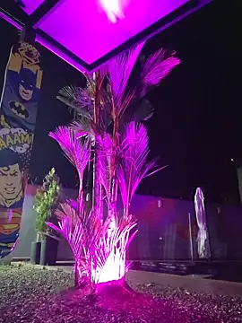 Yessica Lopezz online show from 02-24-26, 10:16