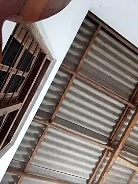 boosypussy online show from 11-13-25, 11:08