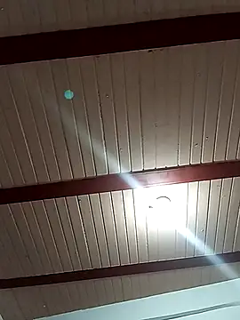 Snapshot of MORALAREAL chatting on 03-20-26, 11:39 MORALAREAL online show from 03-20-26, 11:39