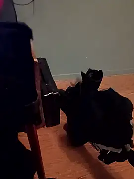 Snapshot of Crossedsissy chatting on 01-07-26, 12:37 Crossedsissy online show from 01-07-26, 12:37