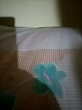 Snapshot of Nishi-2 chatting on 09-25-25, 01:50 Nishi-2 online show from 09-25-25, 01:50