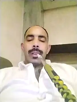 salimbasha online show from 11-29-25, 07:25