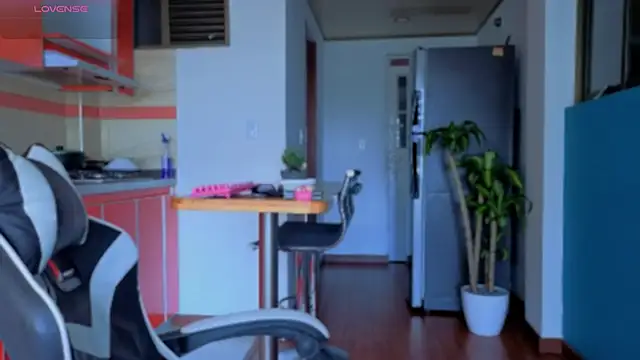 taichi bluy online show from 01-14-26, 10:02