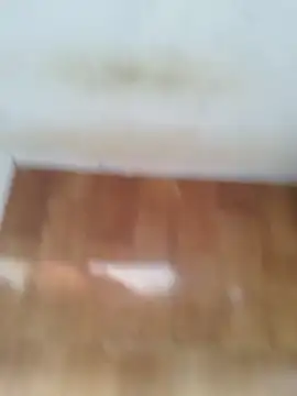 O Mascarado NK online show from 03-21-26, 12:42