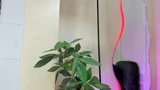 dulce fiore07 online show from 12-21-25, 12:18