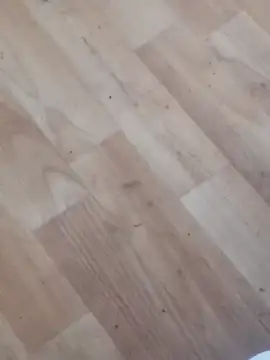 jhoi95 online show from 10-20-25, 10:32