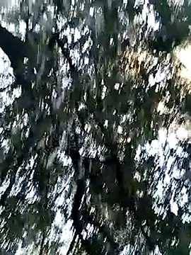 KalendaXL online show from 04-05-26, 04:24