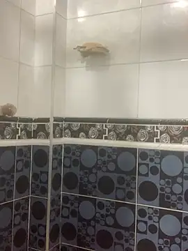 Snapshot of malek_xarx_ chatting on 02-24-26, 01:50 malek xarx online show from 02-24-26, 01:50